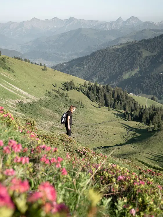 Gstaad Palace Luxury Hotel Switzerland Summer Hiking 9 240Dpi